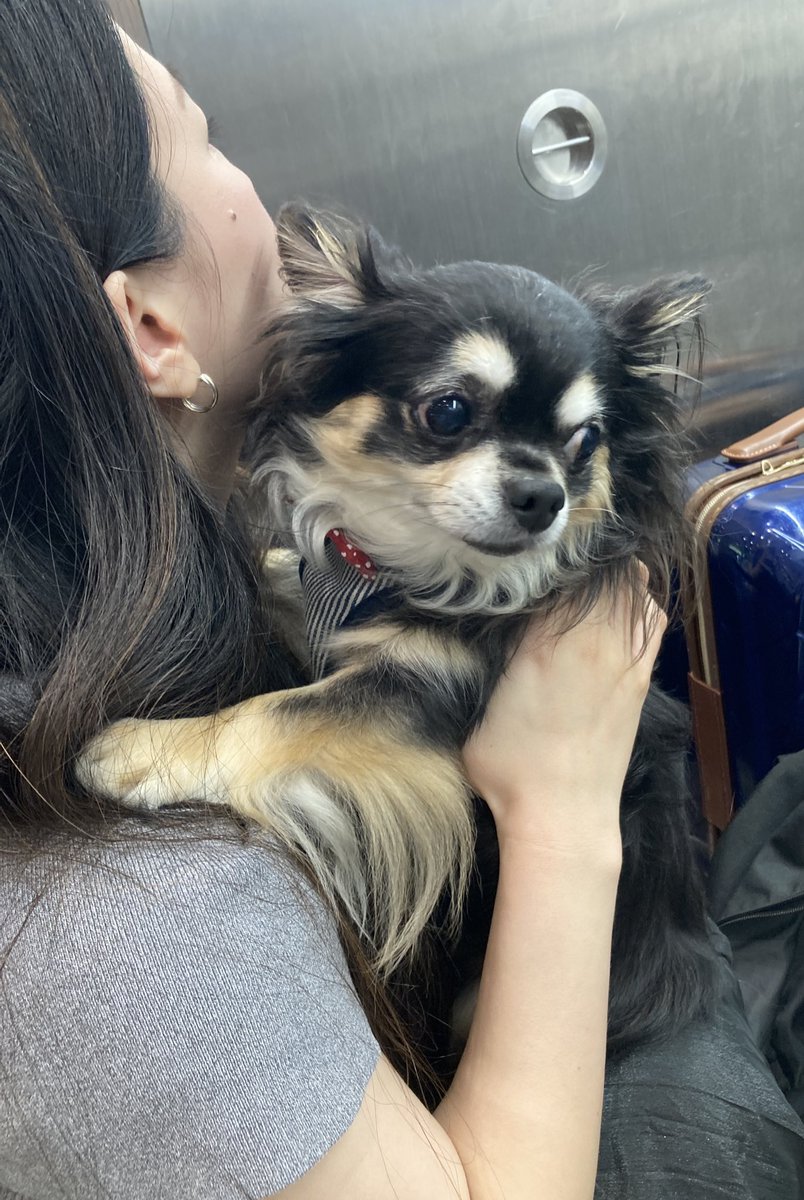 【河合塾】『リスニング・トレーニング　ガイ・F／高山のぞみ　第1講ノート』　+α 河合塾】『リスニング・トレーニング ガイ・F／高山のぞみ 第1講