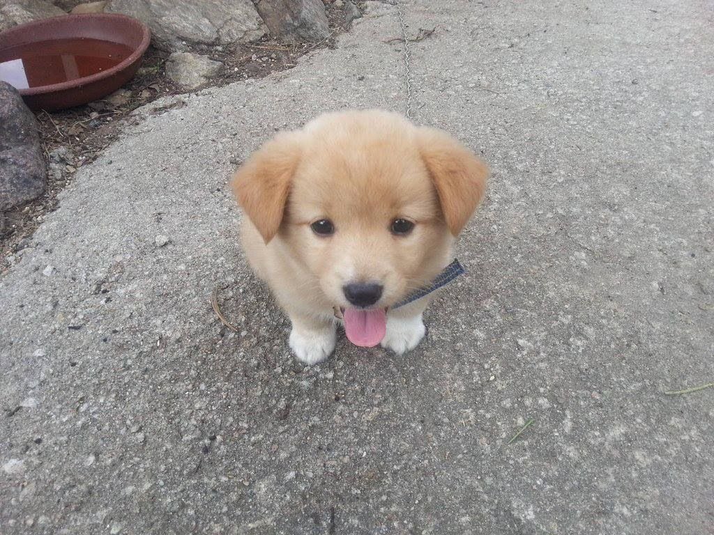 takemybear 🐶 tweet media