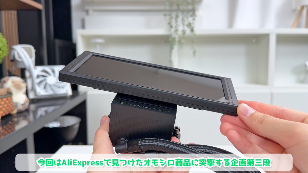 Holyネズミ (@HolyNezumi) / X