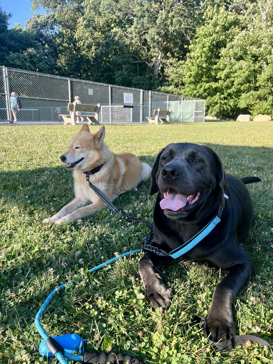 Bring your kids to work day