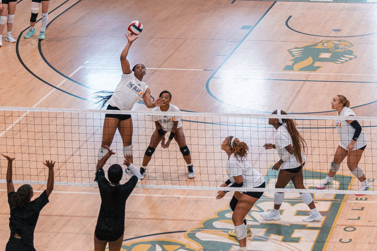 Preseason done 😎 We're locked in for redemption 🦁🏐