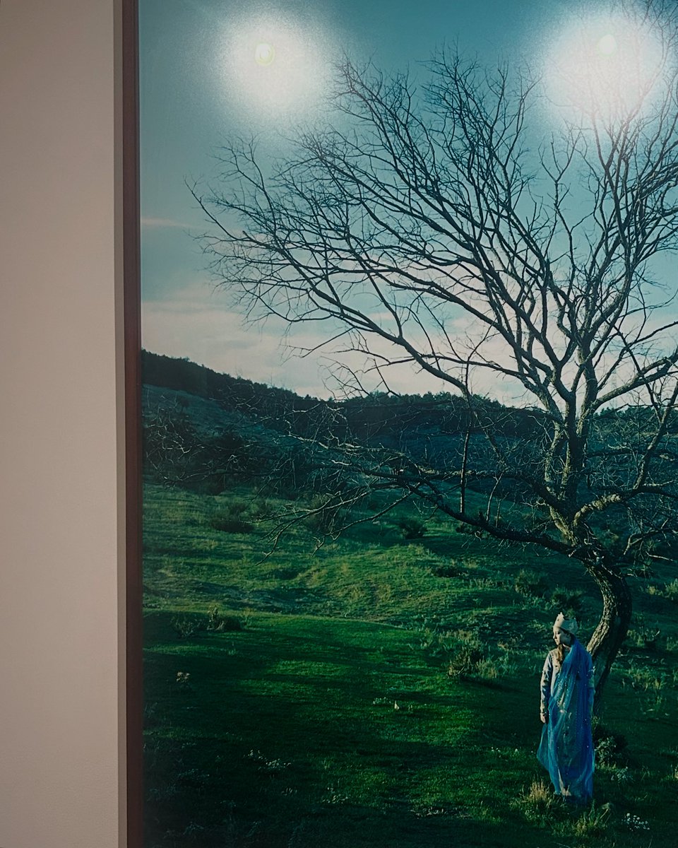 作品2点を本日入れ替え✨本日8/17（日）LIBRIS KOBACO六周年記念特別展示山元彩香写真展『Sand, Water and Dust』@ayakayamamotoo
LIBRIS KOBACOでは3年ぶり！
会期特別延長9/7まで✨
© Ayaka Yamamoto
Courtesy of Taka Ishii Gallery Photography / Film
#山元彩香
#LIBRISKOBACO