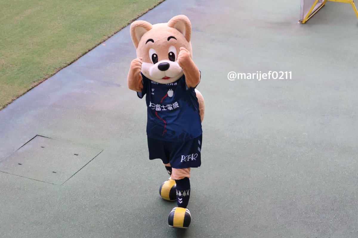 ユニティがお仕事してた♪
きゃわ(*´꒳`*)
そして、近くに来たらガッツポーズしてくれた！ユニティも戦う気満々だった！
2025.8.16
#jefunited 
#ジェフ千葉 
#ユニティ