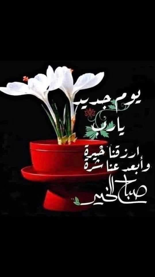 لا تفسد فرحتك بالقلق ، ولا تفسد عقلك بالتشاؤم ، ولا تفسد نجاحك بالغرور  ، ولا تفسد تفاؤل الآخرين بإحباطهم ، ولا تفسد يومك بالنظر إلى الأمس.
#صباح_الخير_والسعادة