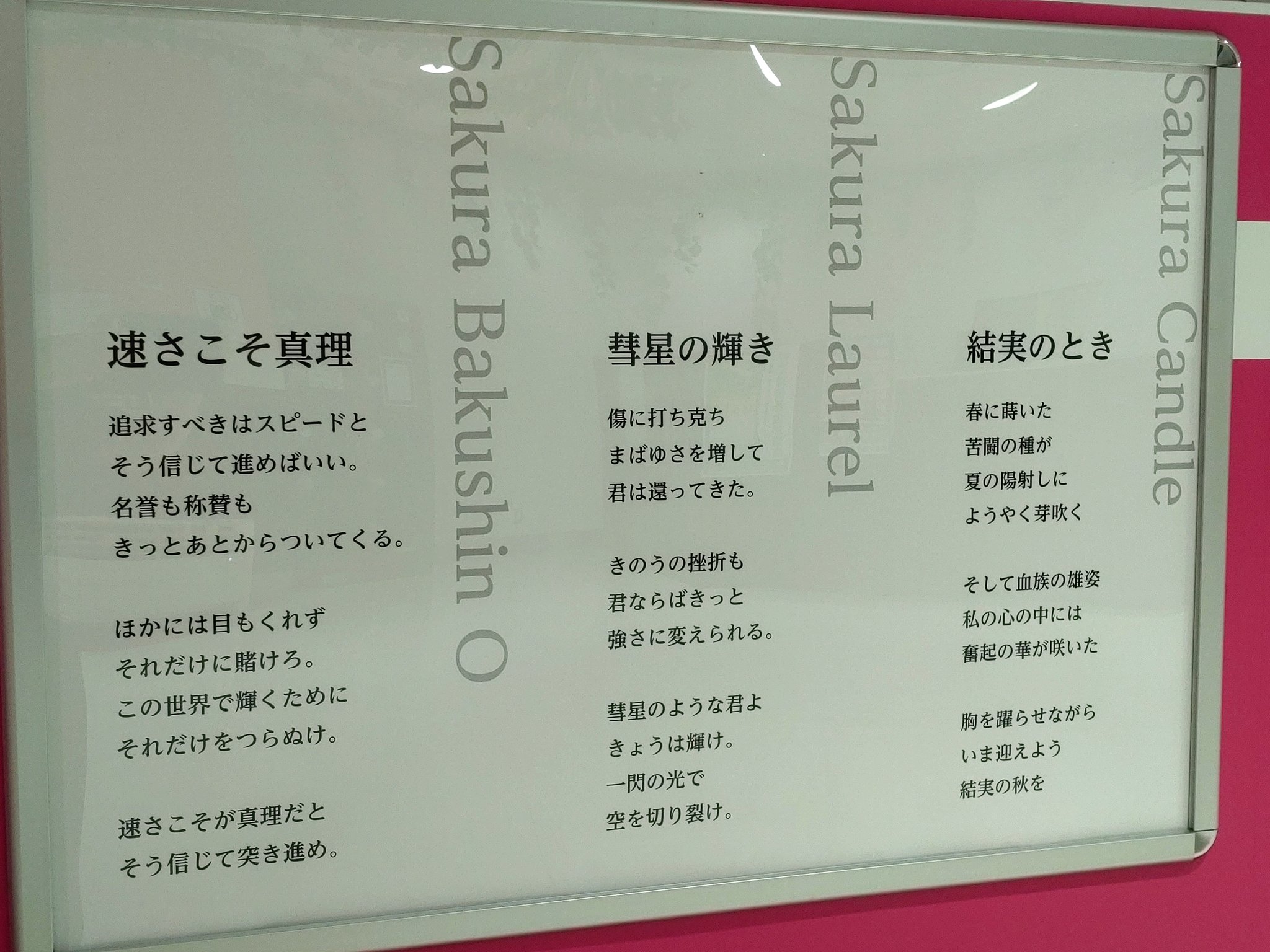サクラチトセオー 記念馬券 サクラチトセオー 記念馬券 - メルカリ