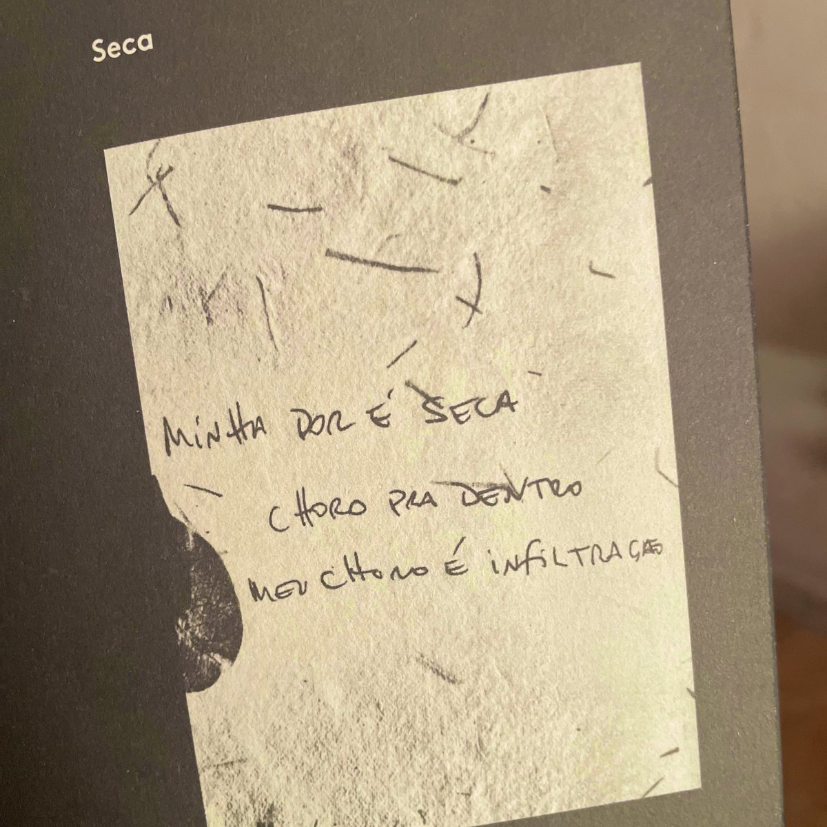 Marcinha 🦋 tweet media