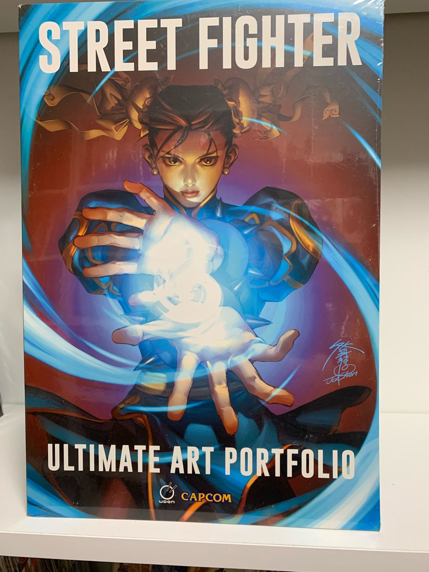 VJ9335  ストリートファイト　春麗　アートパネル Amazon.co.jp: ストリートファイター キャンバスボード アート