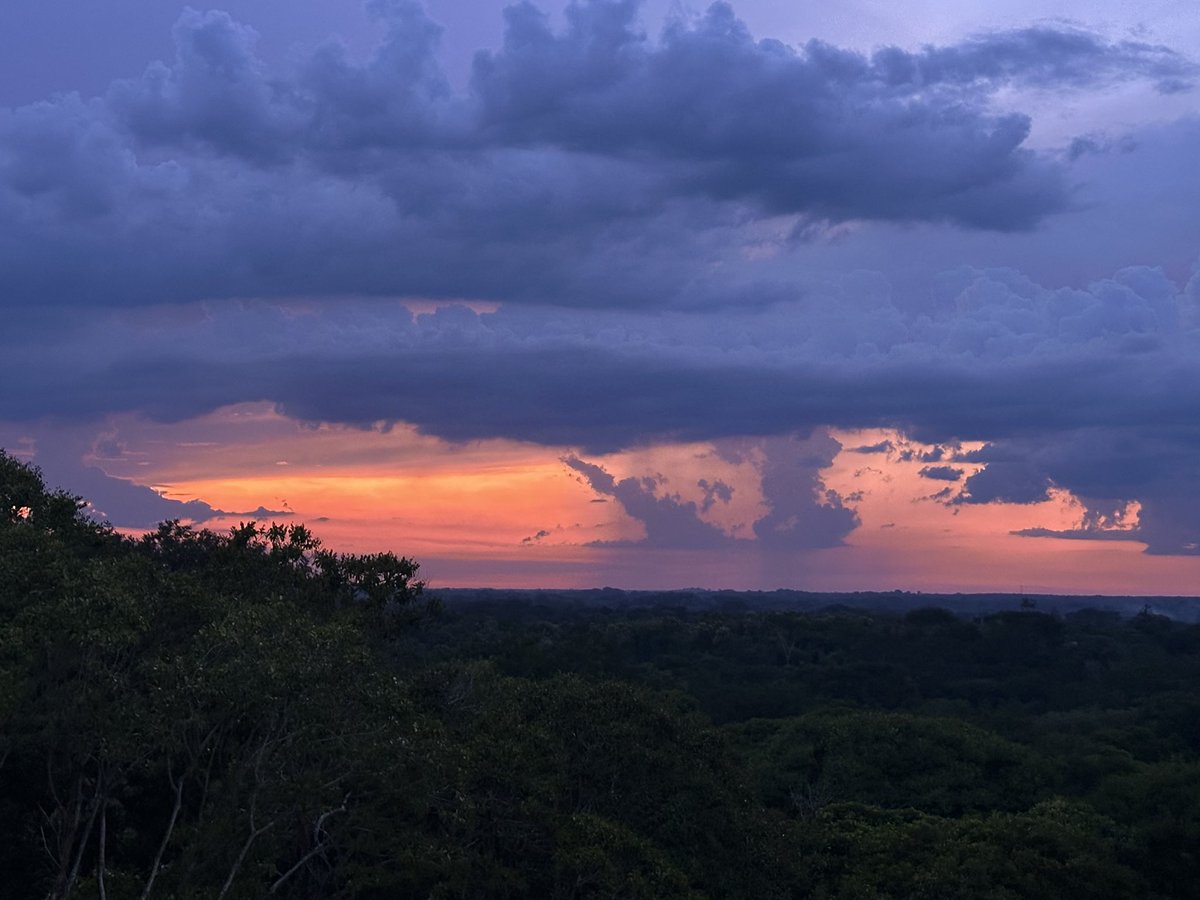 El sol que nace y el día que muere, con los mejores atardeceres. Soy el desarrollo en carne viva. Un discurso político sin saliva.

(Vía  <a href="/Residente/">Residente</a>).