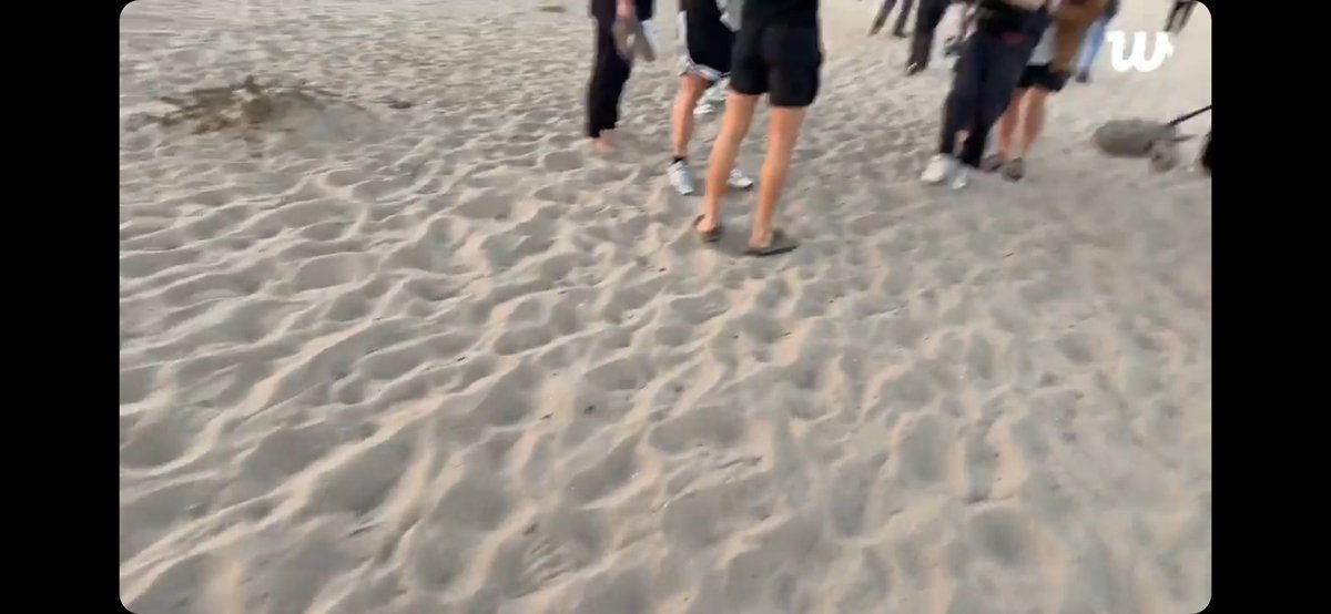 VollzeitFranzi's tweet image. Bts was live... And... Yeah. The Spoiler King was on Work.
Maybe, we can a bts run Episode expect. Big Maybe! #BTS #BTSRUN