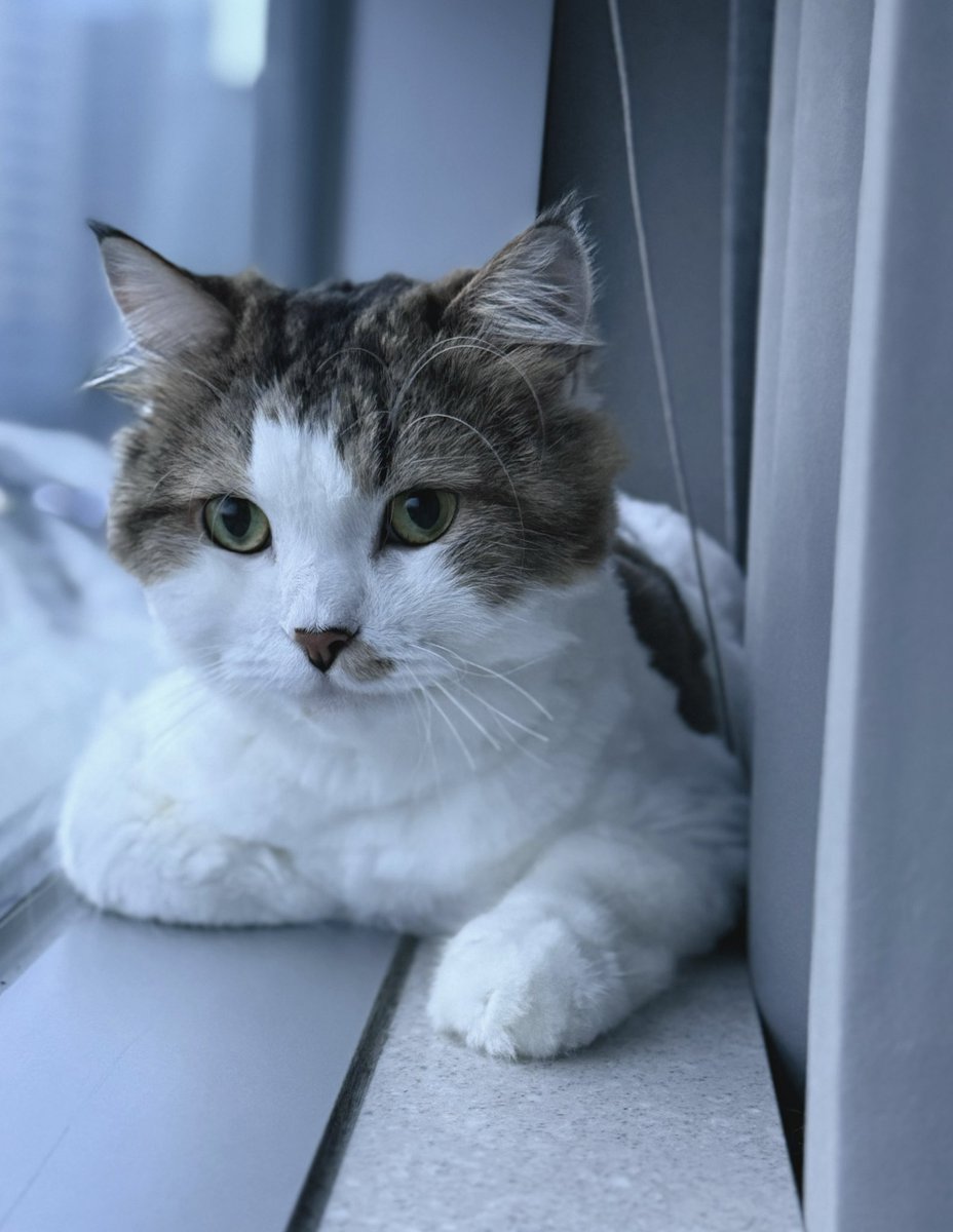 초6의 나이에 자가마련, 노후대비, 개인 비서 겸 화가도 고용했습니다. 제가 더 어릴때 알았으면 좋았을 얘기들을 풀어볼까합니다.
자세한 노하우가 궁금하시다면 구독 후 ‘왕쿠니 사랑해’ 라고 해주세요.