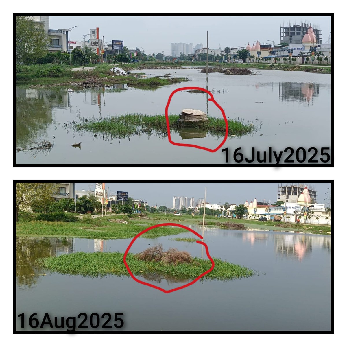 AnilParashar21's tweet image. Who will bell the cat TDI or GMADA is the million dollar.Sewere manhole is now covered with horticulture bushes.Water borne diseases r spreading Lo Tdi Club sec. 74 A Mohali.,@dcmohali @CsPunjab @DGPPunjabPolice @Raise ur voice it counts @TOIIndiaNews @Yogendraku57792