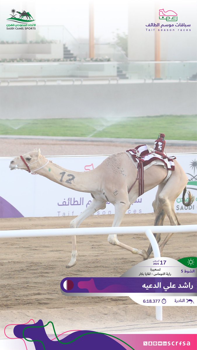 scrfSA's tweet photo. #سباقات_موسم_الطائف 2025
أشواط التسعيرة ضمن السباق الثالث 

🐪 النادرة
▫️راشد علي الدعيه
🏁 الشوط الخامس: راية النوماس لقايا بكار
⏱️ 6:18.377
🎥 https://t.co/DtTT3jSVWd https://t.co/Nflb9s2USX
