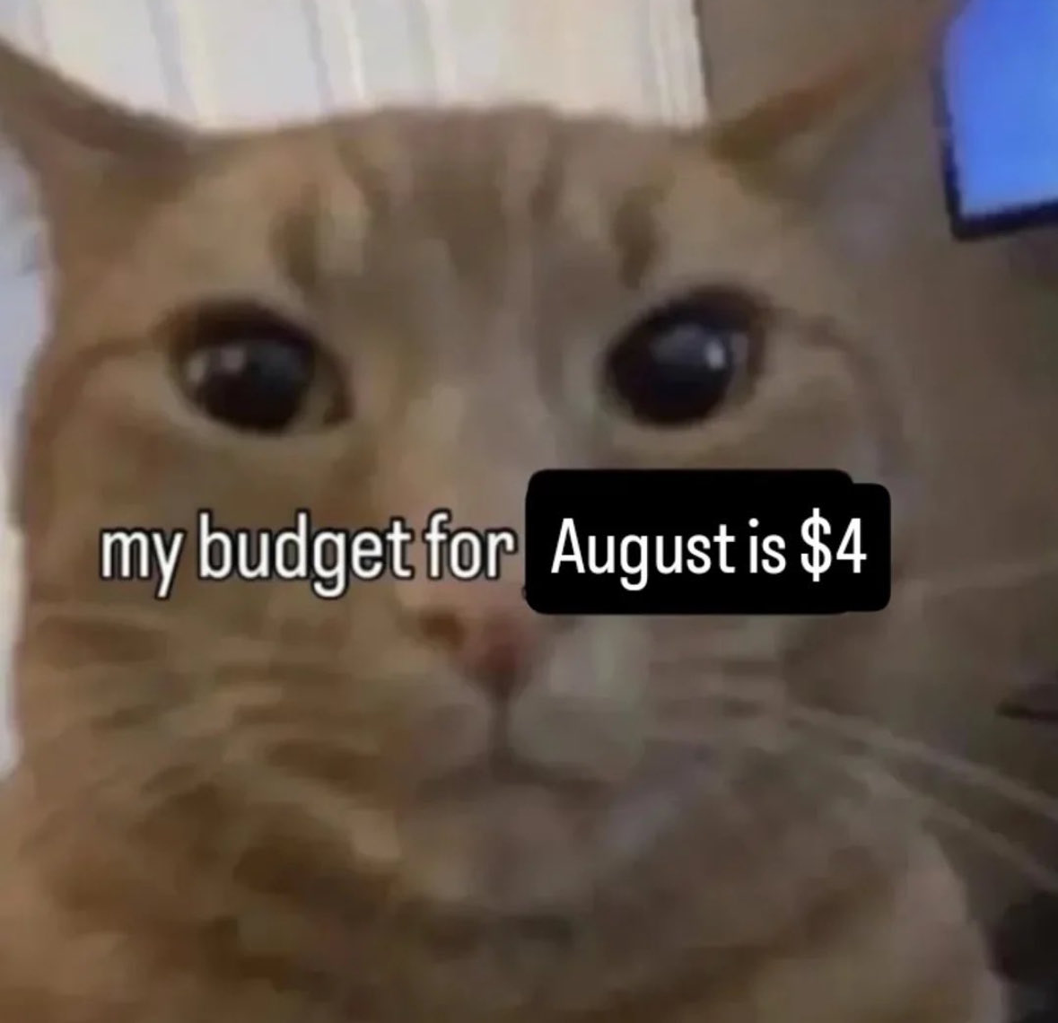 RespectfulMemes's tweet image. 