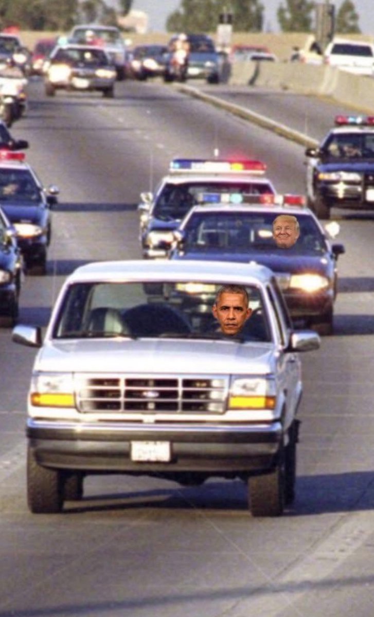 Bluedog1313's tweet image. 