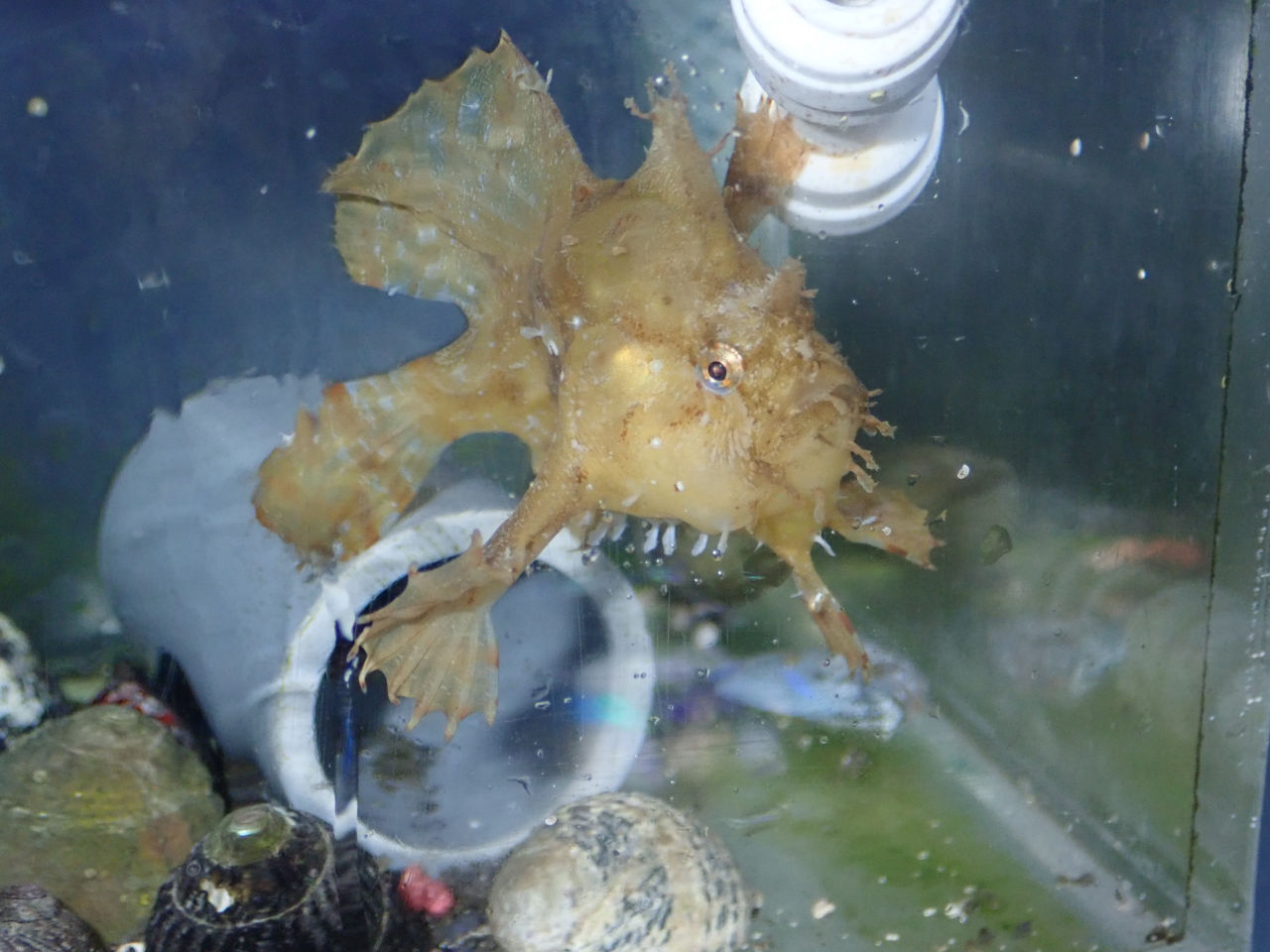 ブルーハーバー (@AF_BlueHarbor) / X