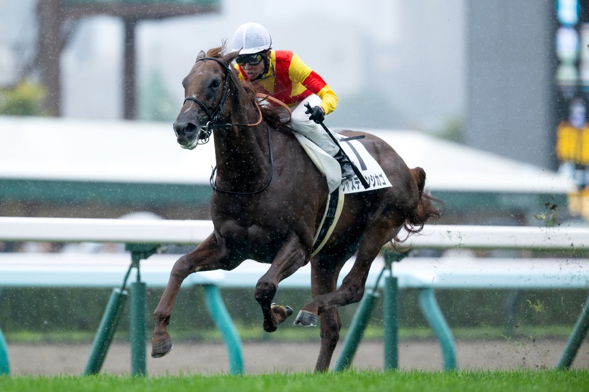 LegendaryJockey (@LegendaryJockey) / X