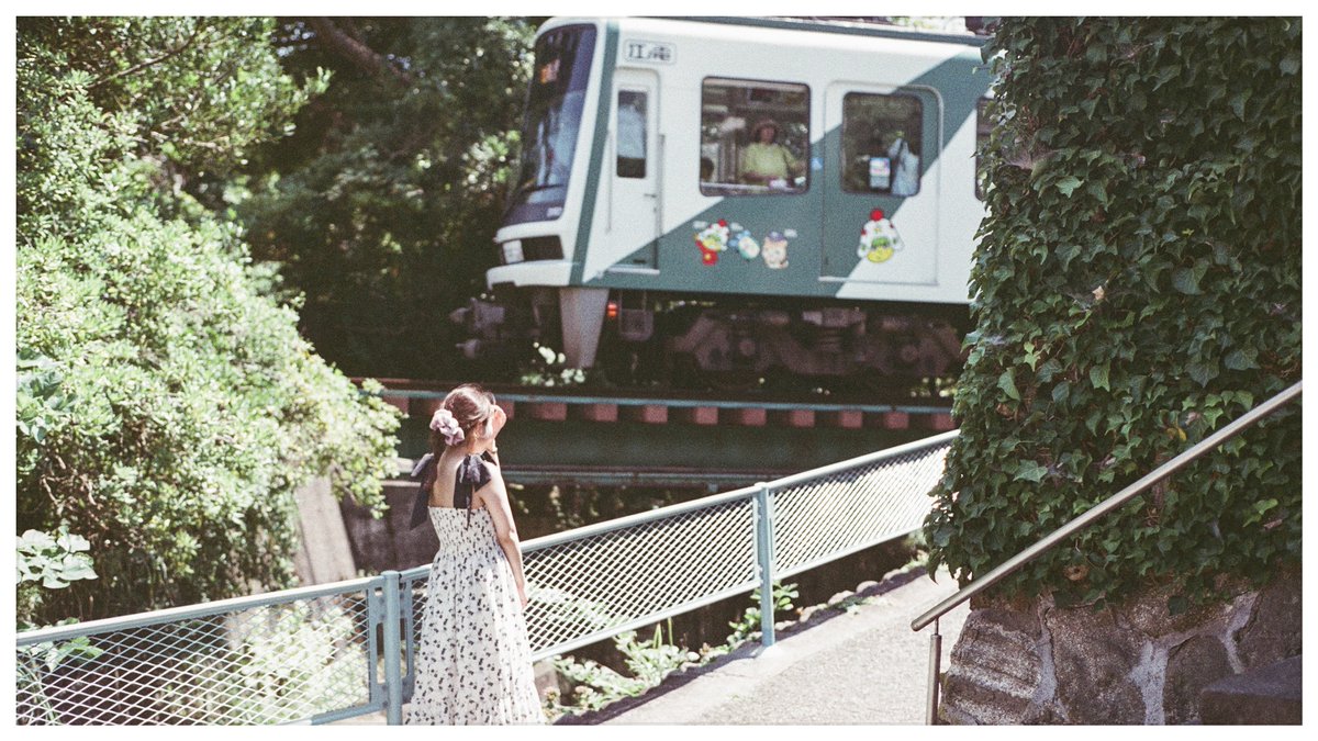 merinon50's tweet photo. fujifilmで記録した写真たち https://t.co/I9mEwewkmJ