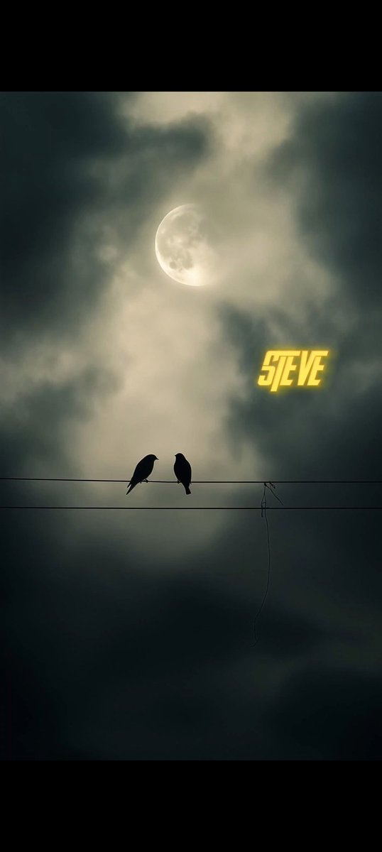 visualbysteve's tweet photo. "Under the moonlight, two souls finding comfort in silence. #NightVibes #MoonlitMoments #PeacefulEvening" DM To BUY 💎 Licensing available 🖐️ https://t.co/WgD3v53gD1