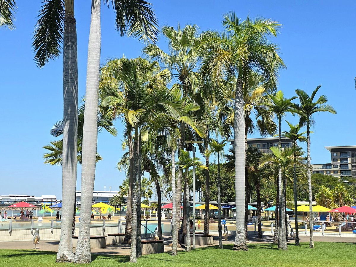 Jason H (AU) 🇦🇺 tweet media