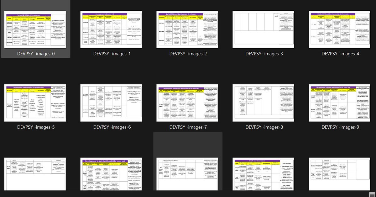 inez • CHRA ‘23 • RPm '25 tweet media