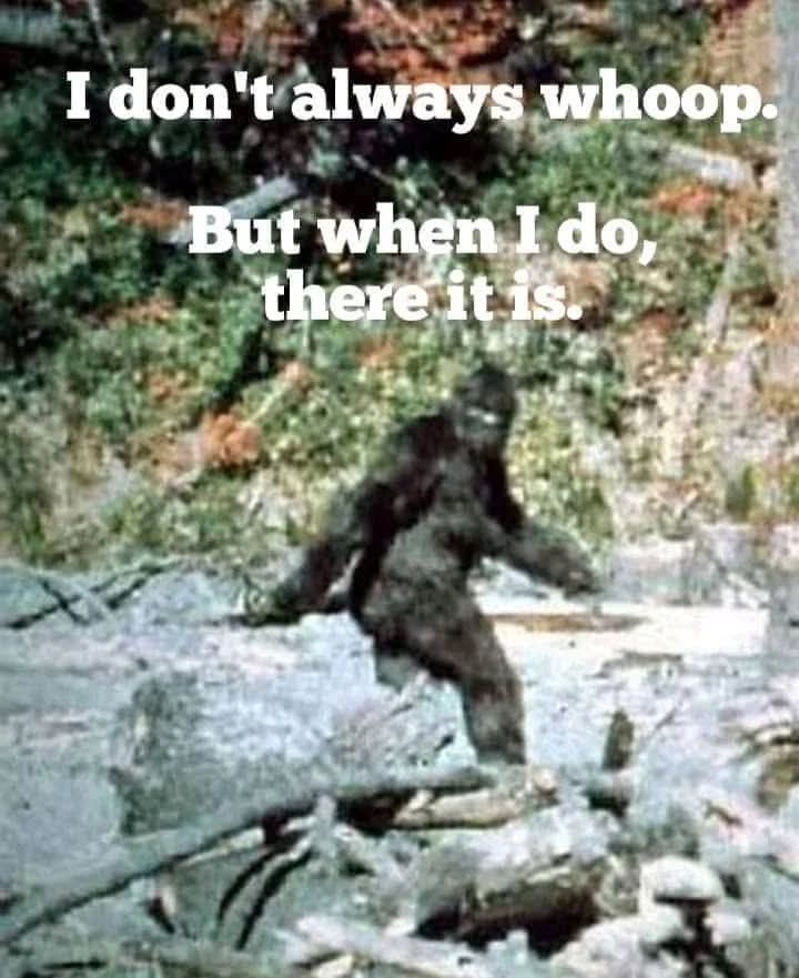 Bigfoots Pad Paranormal Investigations Team (@bfpteam) on Twitter photo 