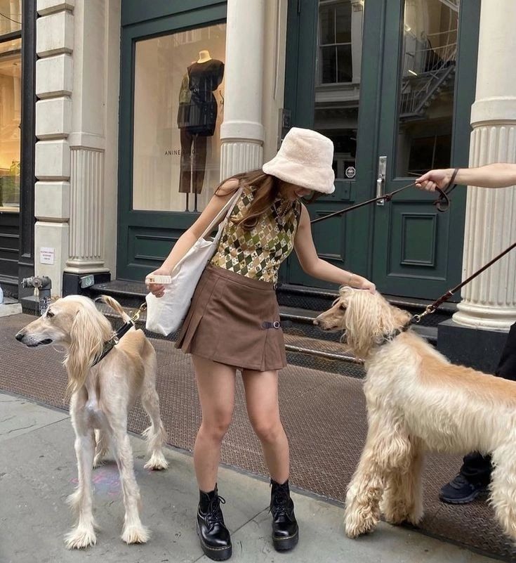 IvyWalker25's tweet photo. Ran into these two supermodels on the sidewalk 🐕✨ Can’t decide who’s more fabulous—the dogs or the fits. #StreetStyleDogs #PetFashion #CityPups #DogsOfTwitter #FluffyAndFierce #UrbanDogLife #DogEncounter #StylishWalks https://t.co/4WP9VlMGEd