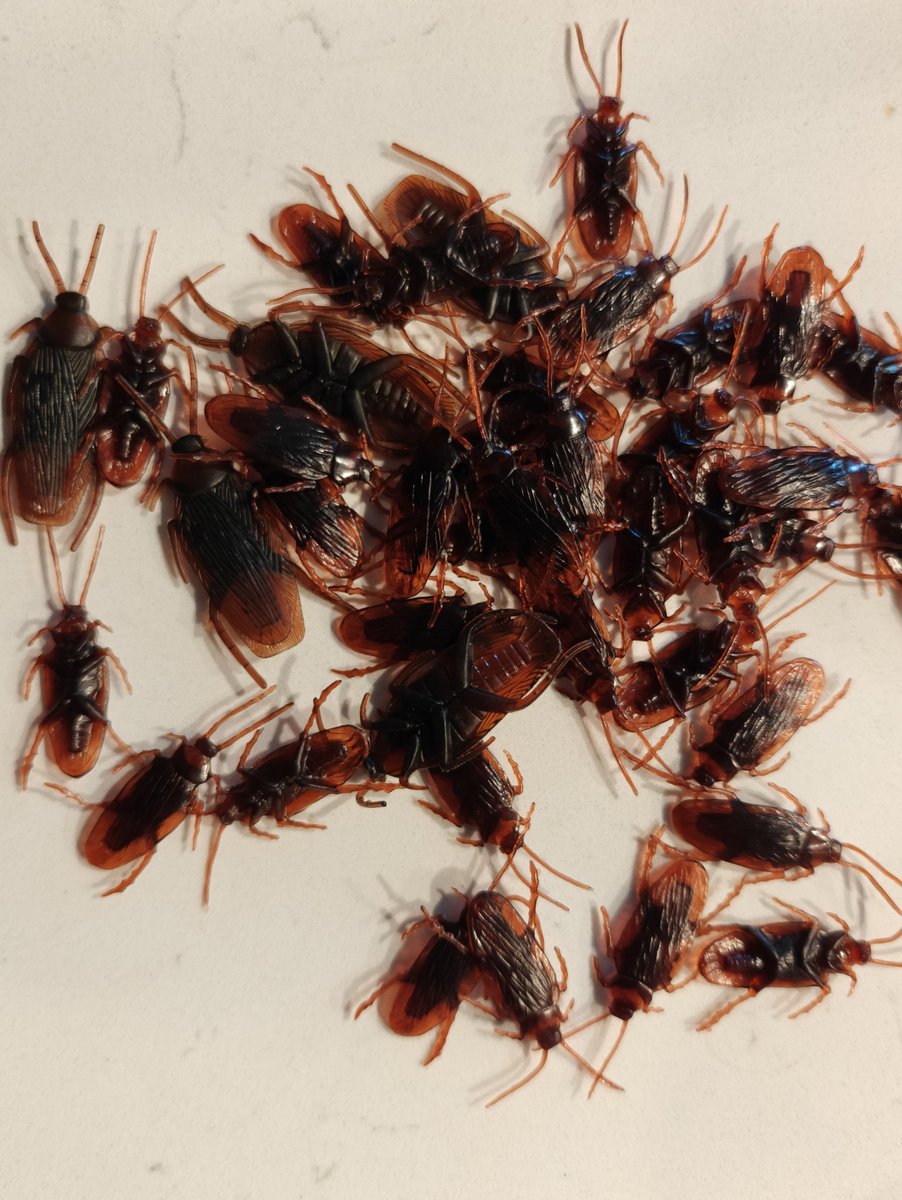 Steve Fink tweet media