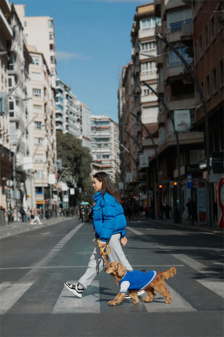 IvyWalker25's tweet photo. Matching fits, matching moods 💙 Just two besties taking on the city one crosswalk at a time. #CityDog #DogStyle #UrbanWalks #PetFashion #DogsOfTwitter #StreetStylePup #BlueMoodCrew #DogLifeDaily https://t.co/ZCO7iu0Mlx