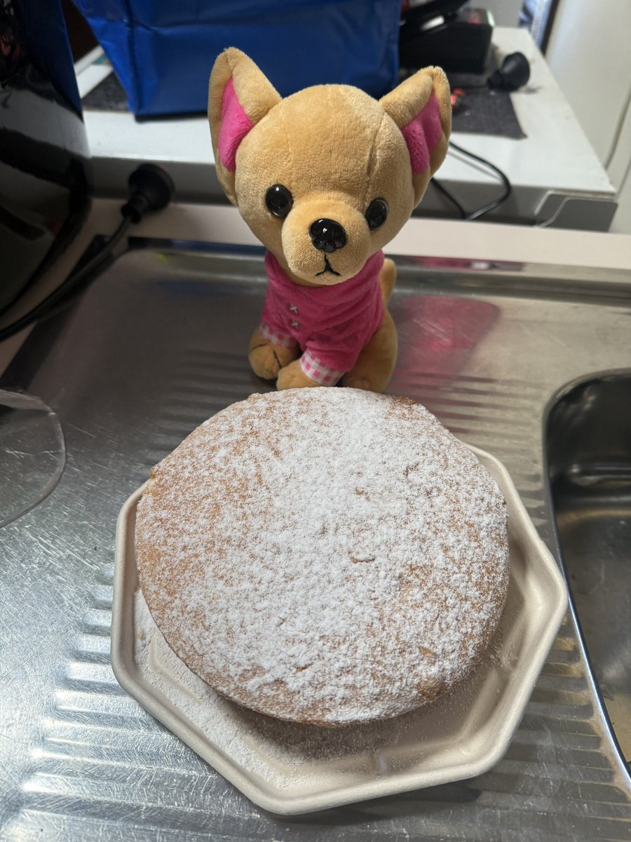 Mini_Tink_'s tweet image. I want to thank everyone for my birthday wishes and please feel free to have some cake 🩷
#minitink #dogsoftwitter #plushiesoftwitter