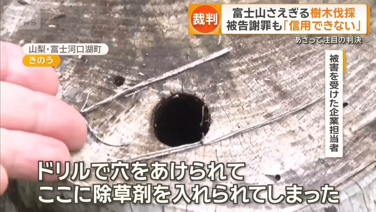 anti_china_3rd's tweet photo. 明日、チャイナホテルの『雲の上富士ホテル』元経営者で、他人の敷地に不法侵入し樹木を伐採した中国人犯罪者の郭亜川（53）の判決が出ます。
この期に及んで日本国籍を要求する白痴中国人に、強制退去以外の選択肢はないですよね？
https://t.co/7cPdeHhDlG https://t.co/Ffph3Uj45r