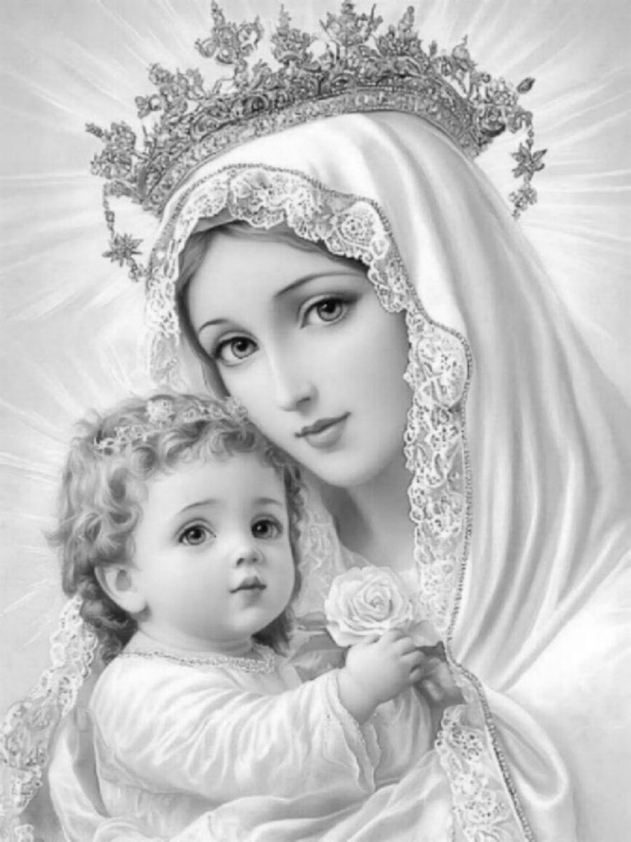 Hail Mary, Full of Grace, The Lord is with thee. Blessed art thou amongst all women, &amp; blessed is the fruit of thy womb, Jesus. Holy Mary, Mother of God, pray for us sinners now, and at the hour of our death. Amen.🙏🏾

Have a lovely day😊
