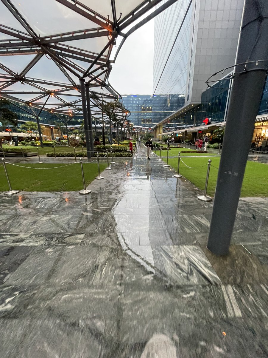 Some good byes are hard.