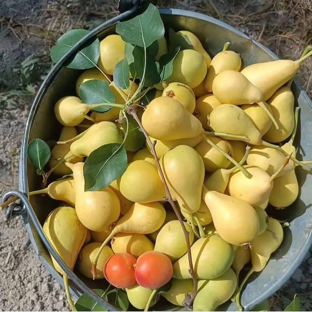 «گاهی فقط کافیه یادت بیاد زندگی همین لحظه‌ست، نه دیروز نه فردا. نفس عمیق بکش و لبخند بزن 🌿✨
<a href="/GiveRep/">GiveRep</a>
<a href="/TypusFinance/">Typus Finance</a>
#100xOntypus