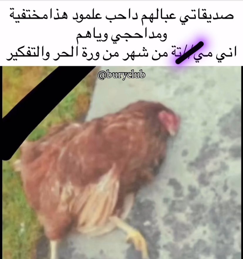 . (@alcoldfish) on Twitter photo 