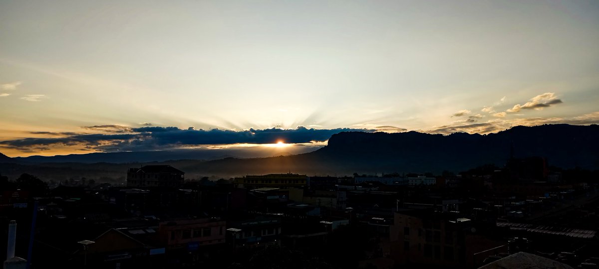 Good morning from the Garden of Eden