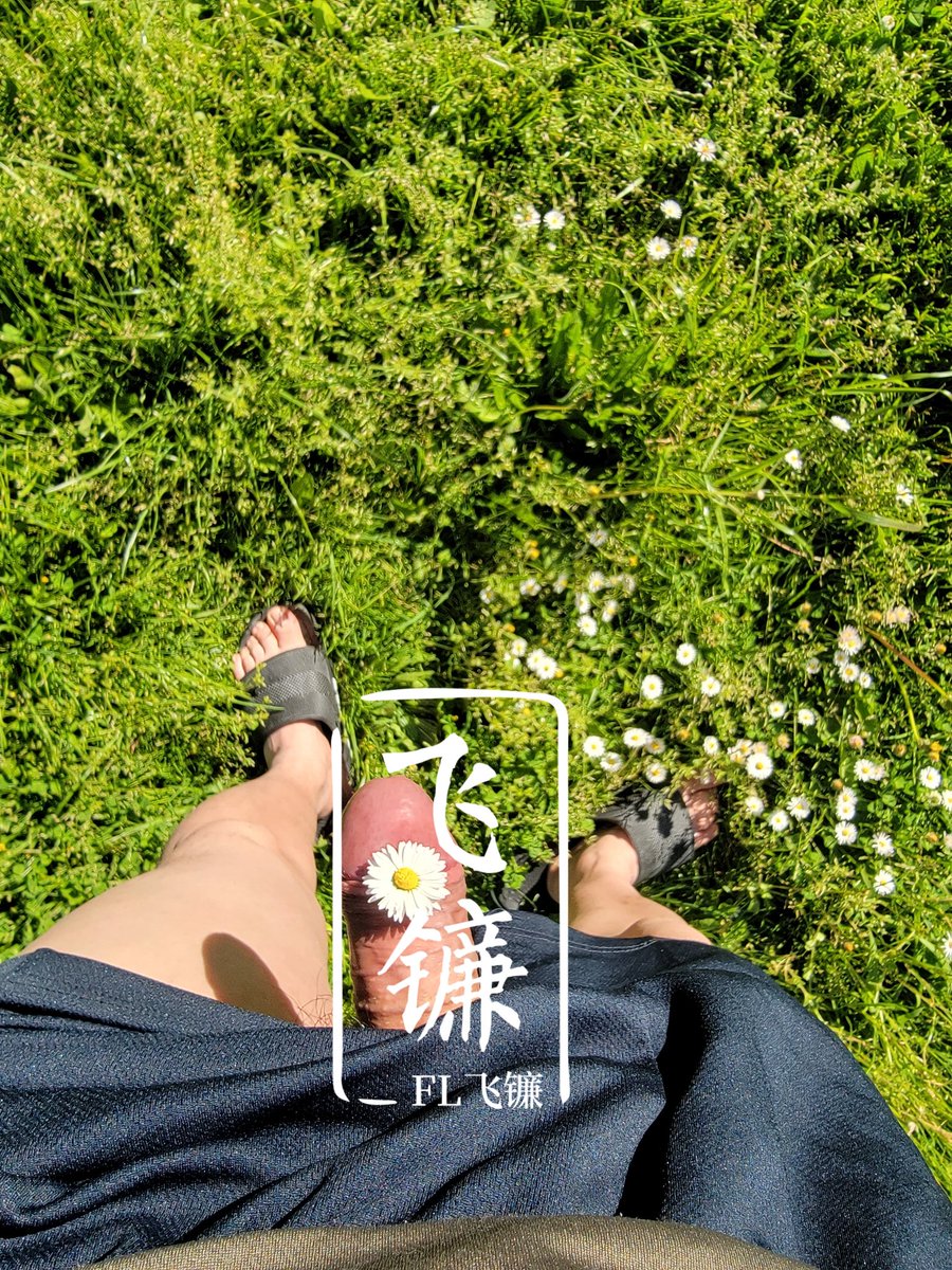 里边的野花你不要采～