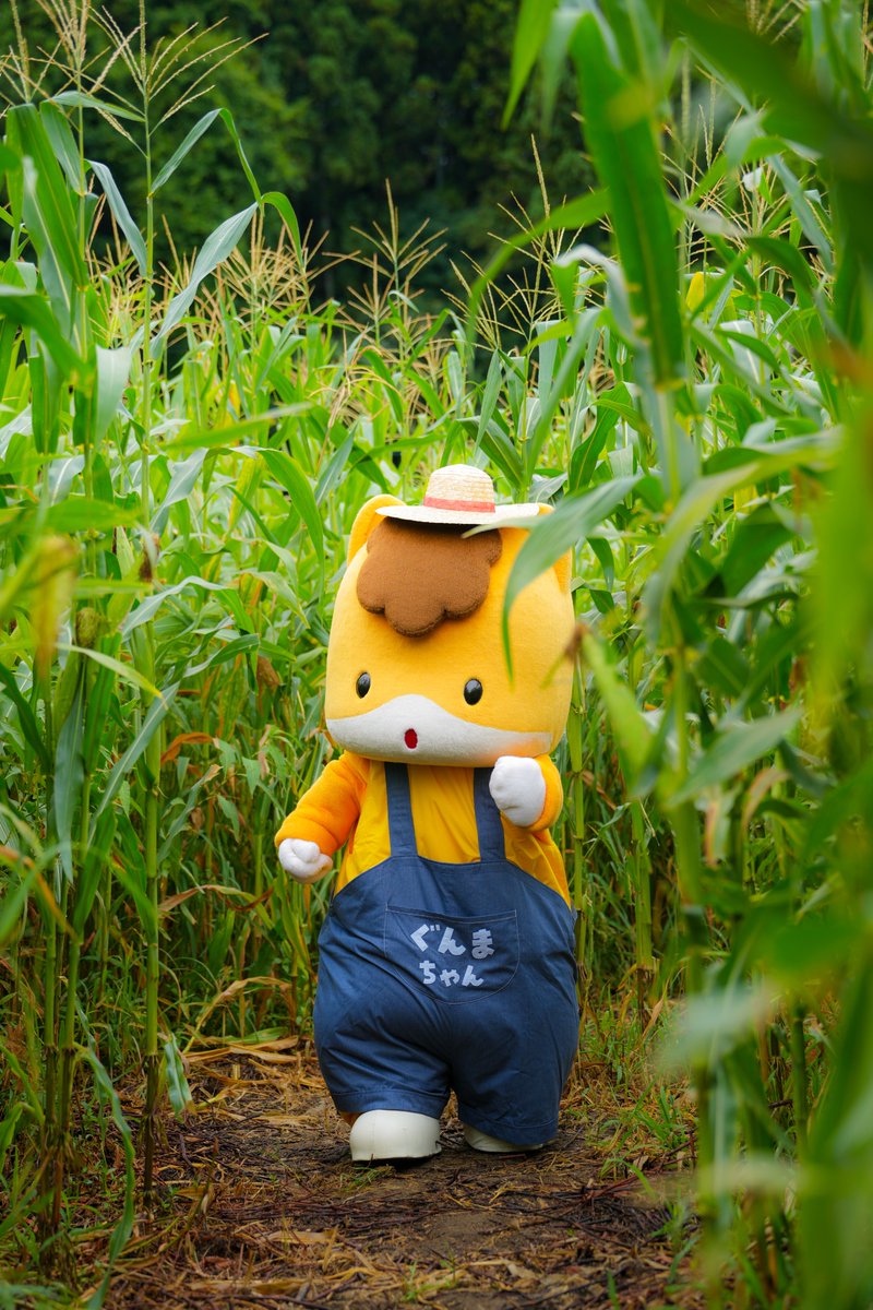 ぐんまーちゃん TVアニメ『ぐんまちゃん』シーズン2が2023年4月から放送決定！ キー