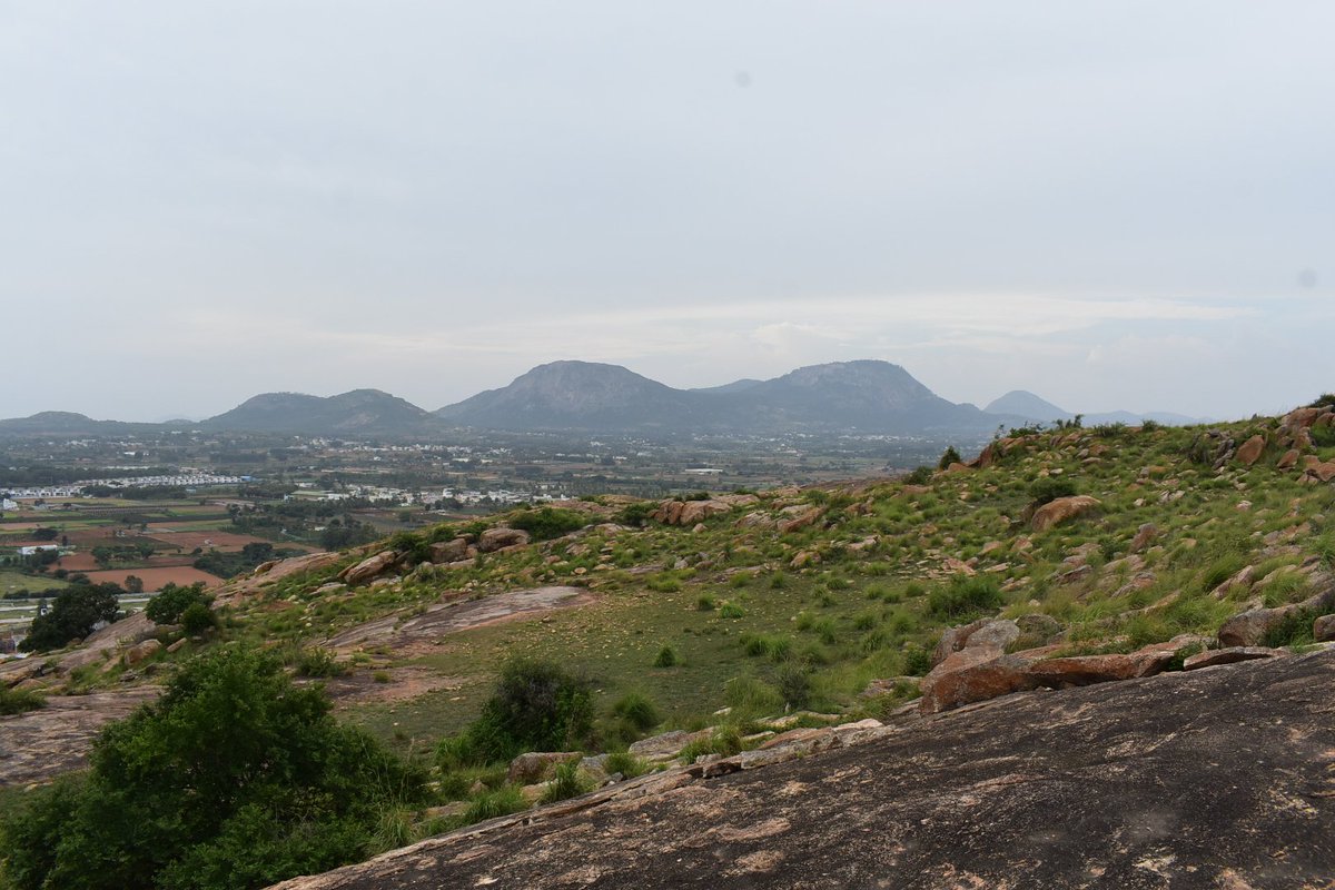 SachinSoonthodu's tweet photo. #trek no 130, a short trek ideal for family! #Avati hills

#travelphotography #photography #SachinSPhotography #backpack #backpacker #travelgram #travelindia #trekking #traveling #tourism #adventure #Karnataka #tourismindustry #solo #bike #Bengaluru #Trending https://t.co/DCrYlIAuXb