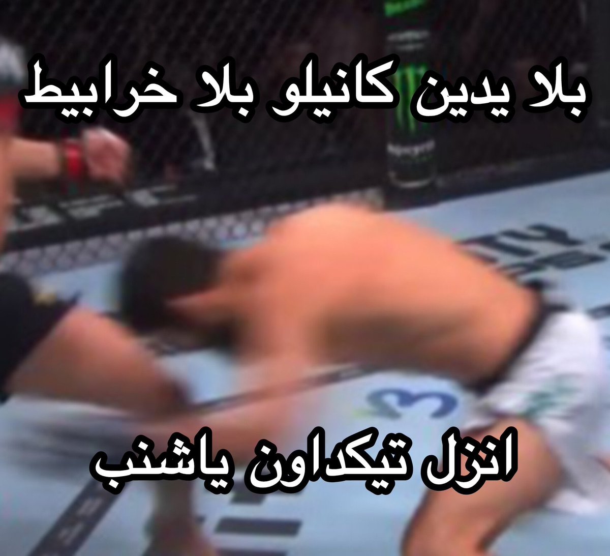 سلطان tweet media