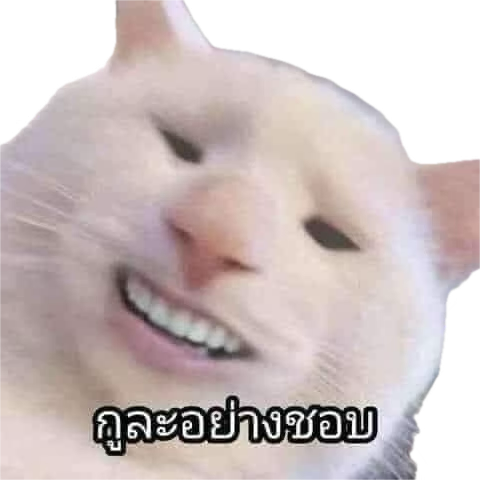 M (@m9534108871430) on Twitter photo 