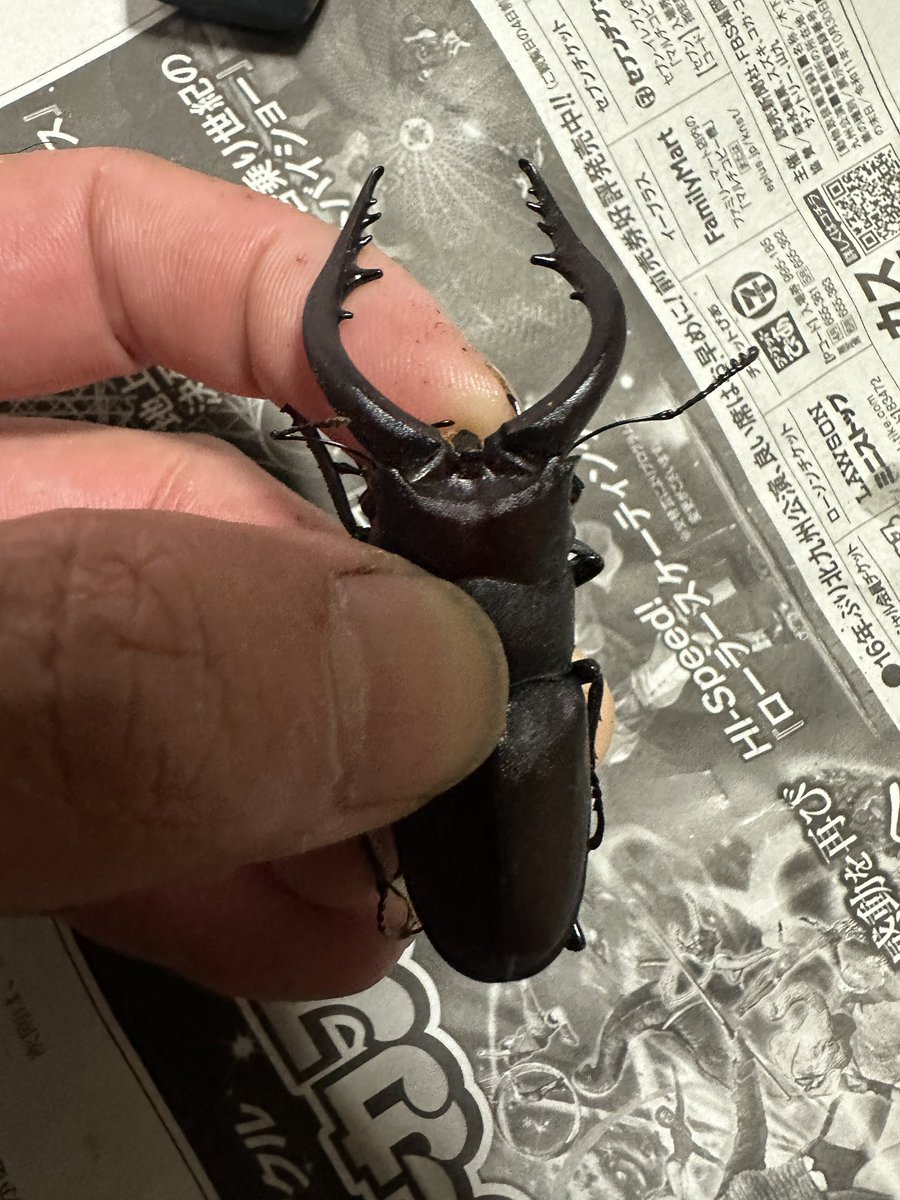 サクちゃん様 確認用です。 スペースサク☄ (@SPACEsaku555) / X