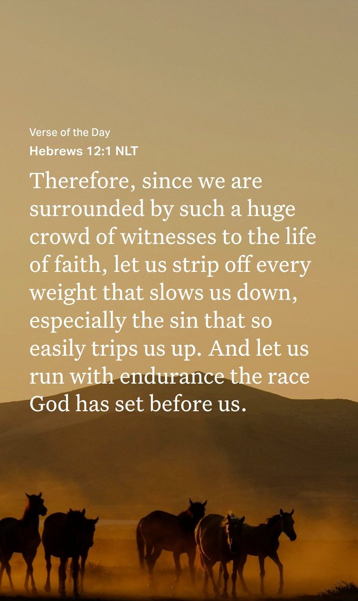 Hebrews 12:1 NLT
Therefore, since we are surrounded by such a huge crowd of witnesses to the life of faith, let us strip off every weight that slows us down, especially the sin that so easily trips us up. And let us run with endurance the race God has set before us.