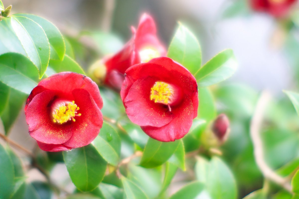 "Herkes gizlice hiyanet ettiği bir ahlâka hürmetini başkalarını ithamla ispat etmek ister."

Abdülhak Şinasi
#Günaydın
#HaftaSonu