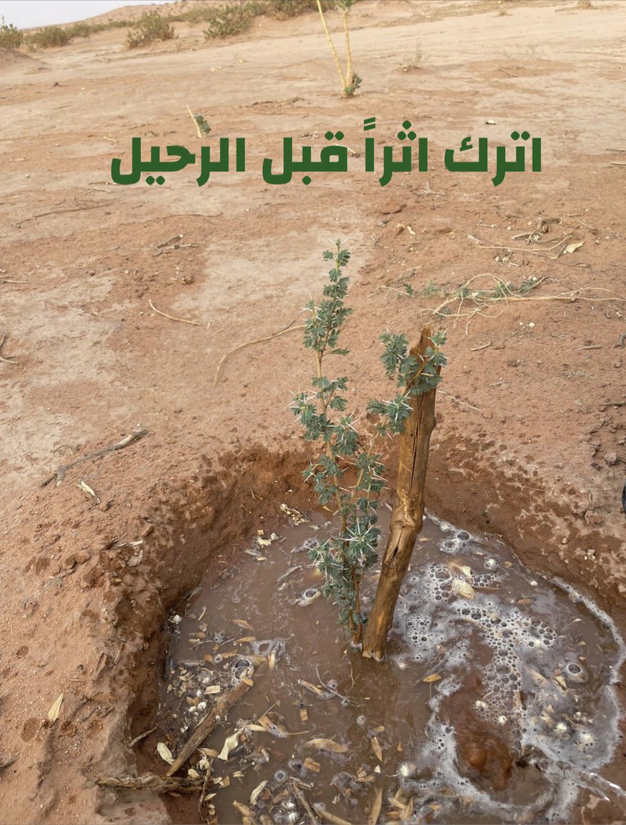 RTumaer's tweet photo. قال رسول اللّٰه صاى الله علية وسلم :
"إذا مات ابن آدم انقطع عمله إلا من ثلاث: صدقة جارية، أو علم يُنتفع به، أو ولد صالح يدعو له." 
#رابطة_تمير_الخضراء
#السعودية_الخضراء
#حياة_الأرض https://t.co/mLKxrXGKUI