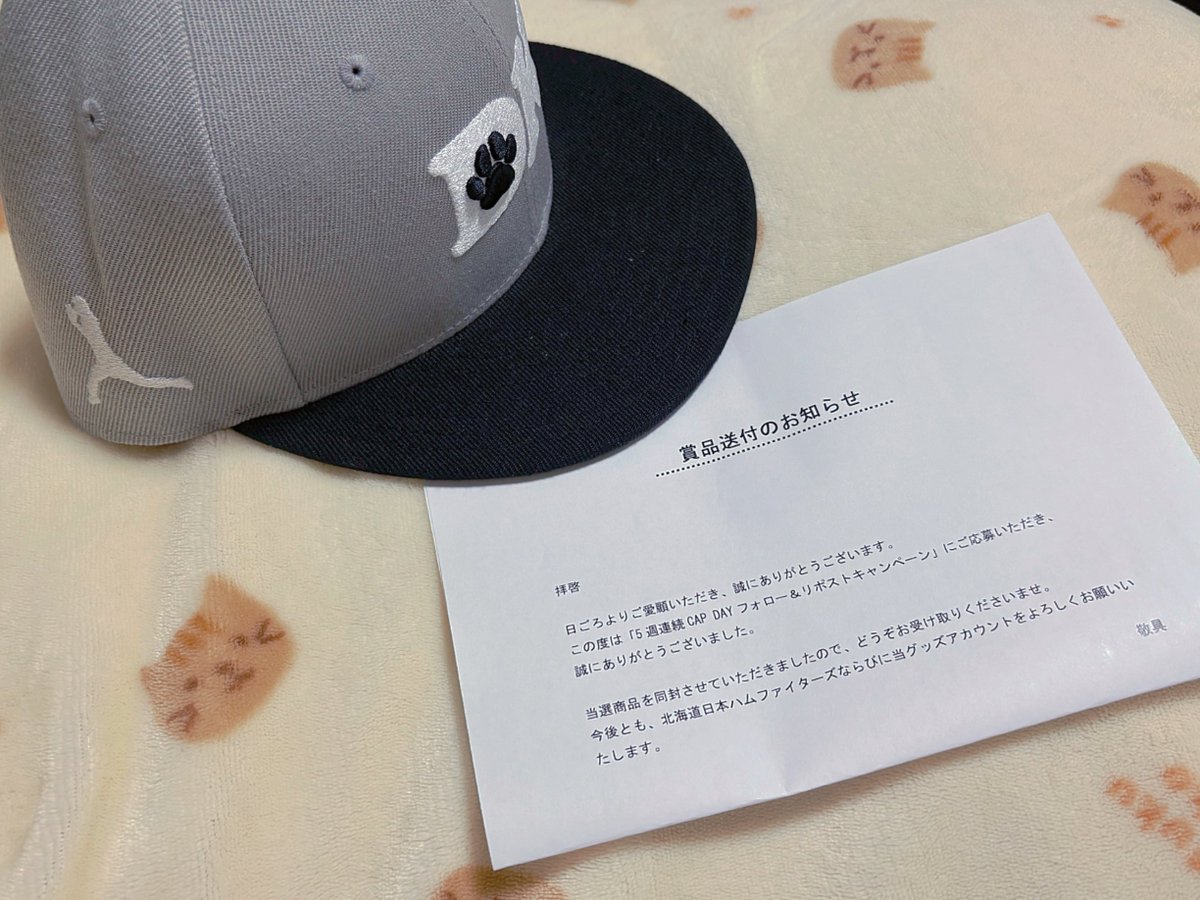 MIiFsL's tweet photo. 北海道日本ハムファイターズ #CAPDAY キャンペーンの #上川畑大悟 選手プロデュースキャップが届いたぞ〜！
刺繍めっちゃかわいい！（肉球の主張が強いので実物を見て欲しい）
これで次の現地観戦挑みます🫶 https://t.co/e92pO9XpH9