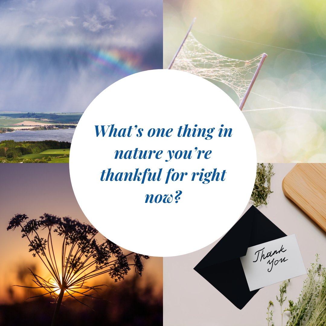 Gratitude arrives in details: the late-summer chorus of cicadas, seedheads catching gold light, the hush right before dusk. 

Gratitude is a form of relationship, a way of giving back by noticing and honoring what’s here now.

See more: gaianway.org/reflections

#GaianWay