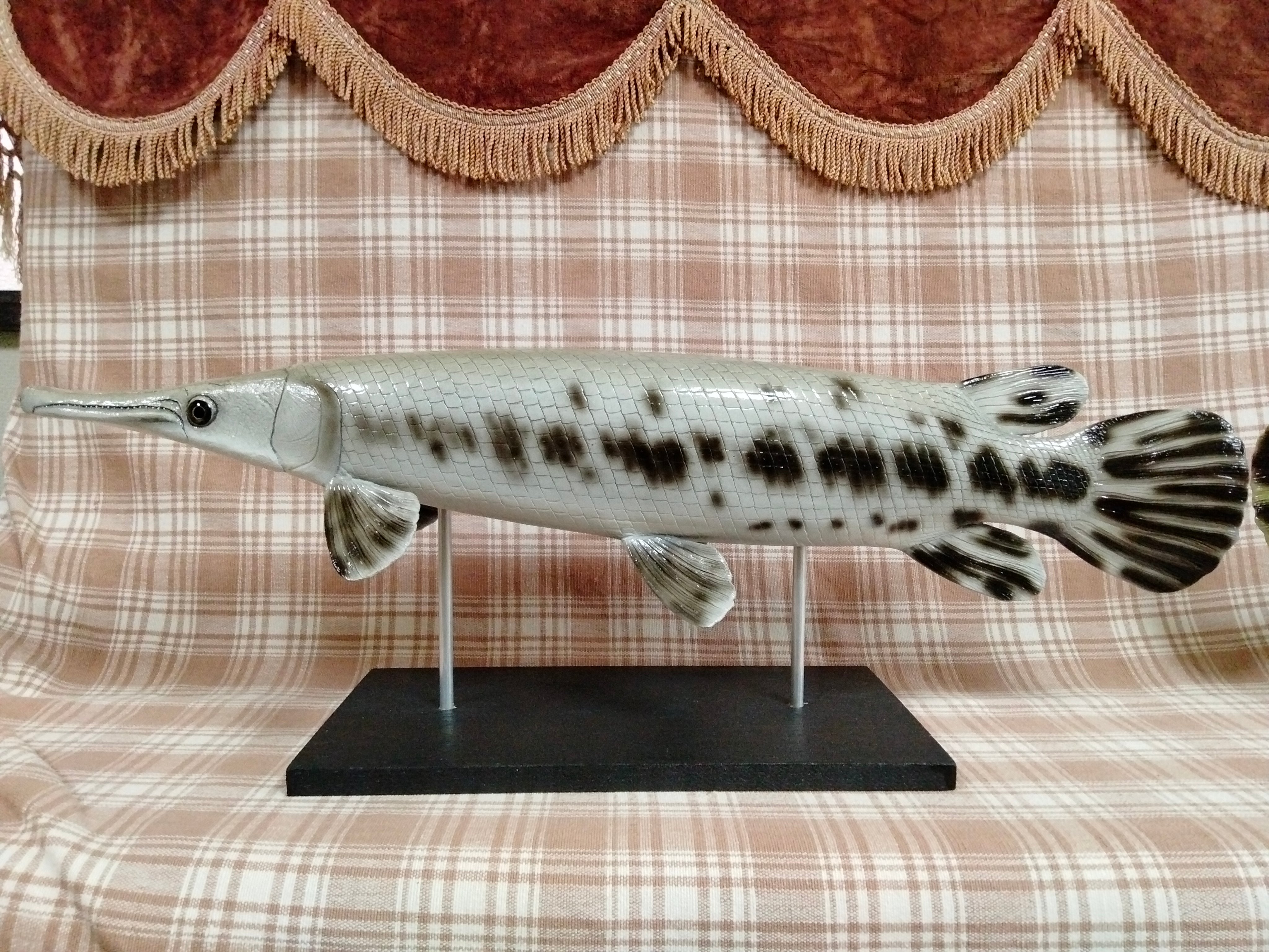 【美品】50cm アカメ 幼魚色（樹脂製）fish craft REAL製作 美品】50cm アカメ 幼魚色（樹脂製）fish craft REAL製作