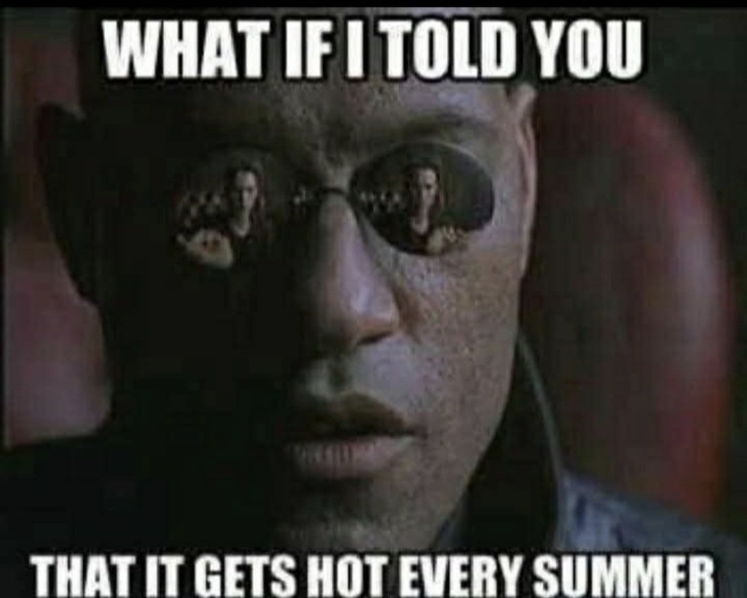 <a href="/GiveUsAQuid/">Sir Lefty Farr-Wright, Far-Right Parody Account</a>