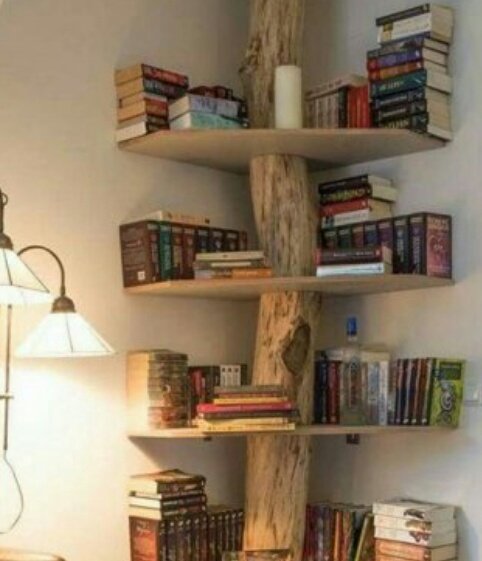 Okumak zekayı kibarlaştırır..