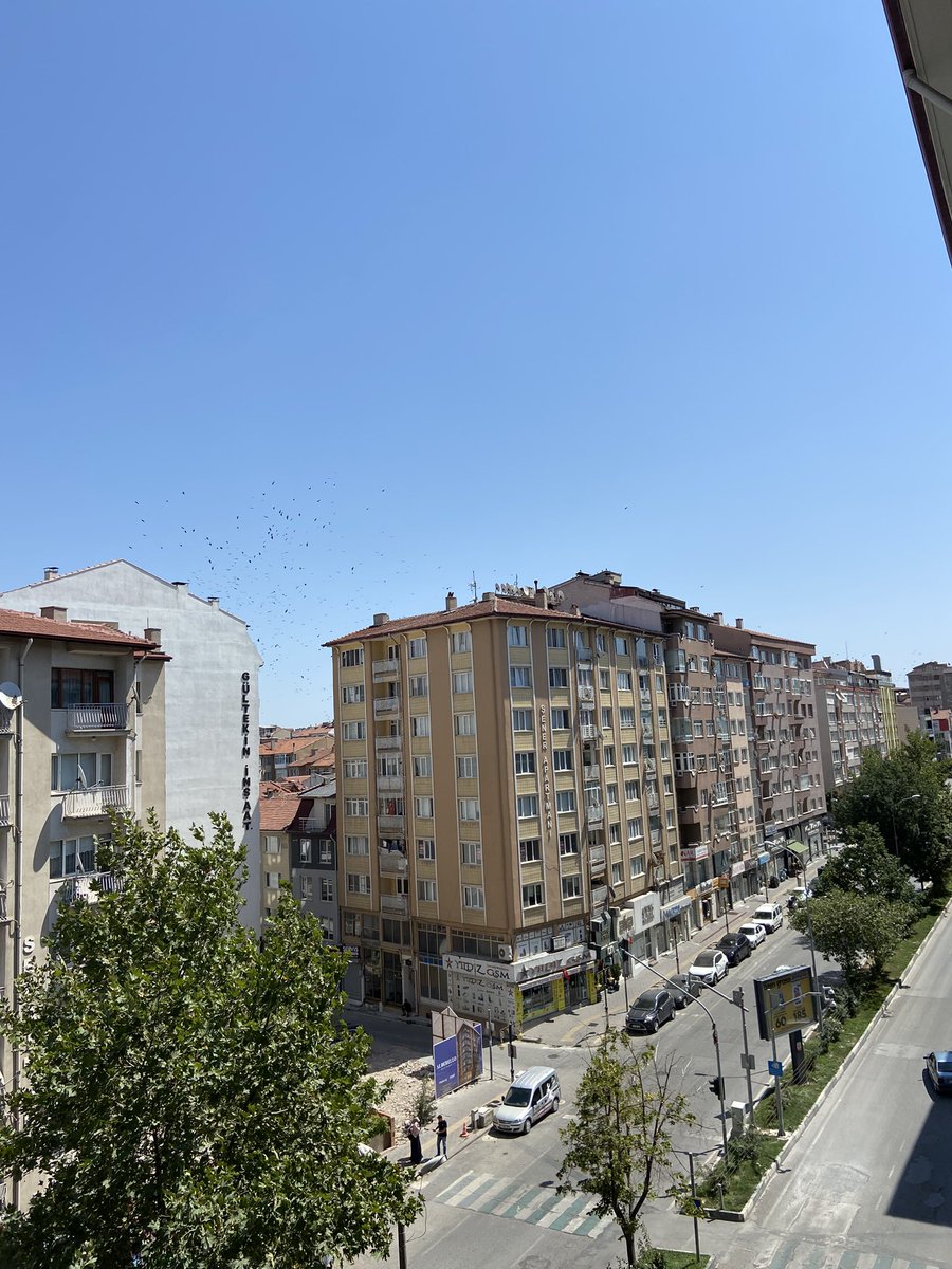 Happy sunday <a href="/theblessnetwork/">Bless</a> fam

Stay Blessed 💛